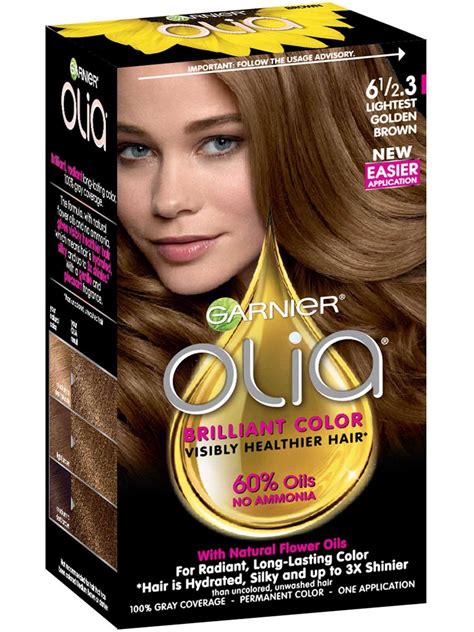 garnier hair color light golden brown|More.